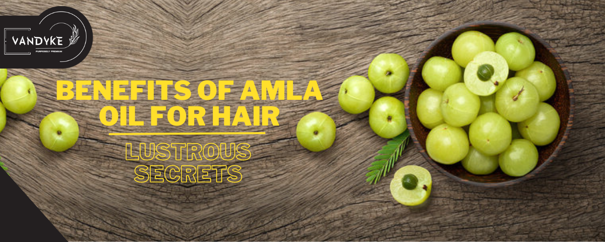 Benefits of Amla Oil for Hair - Vandyke