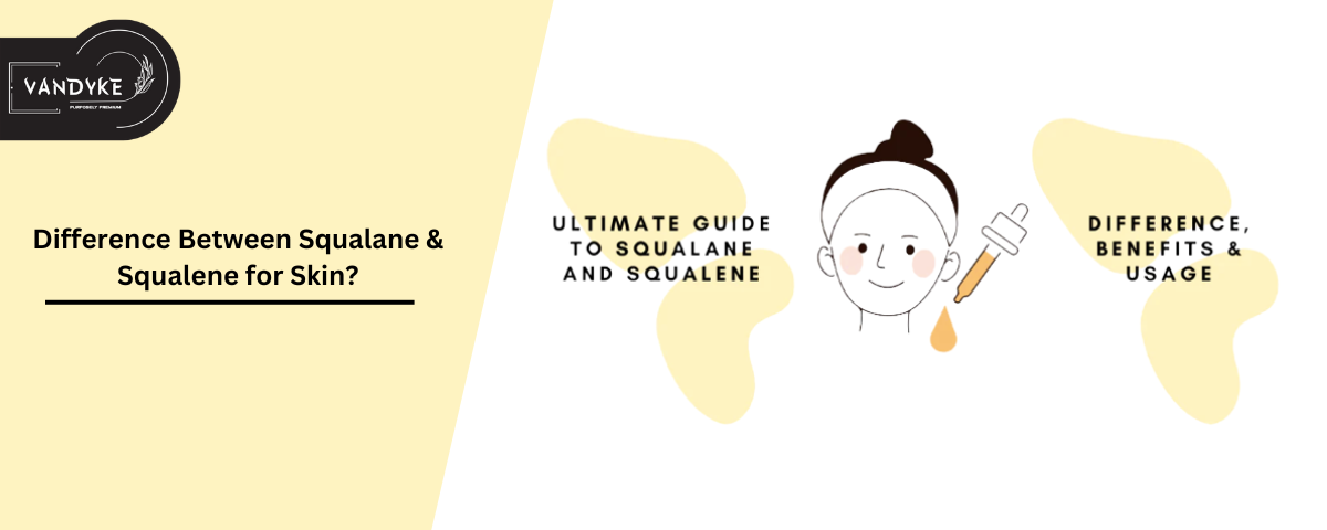 Difference Between Squalane & Squalene for Skin - Vandyke