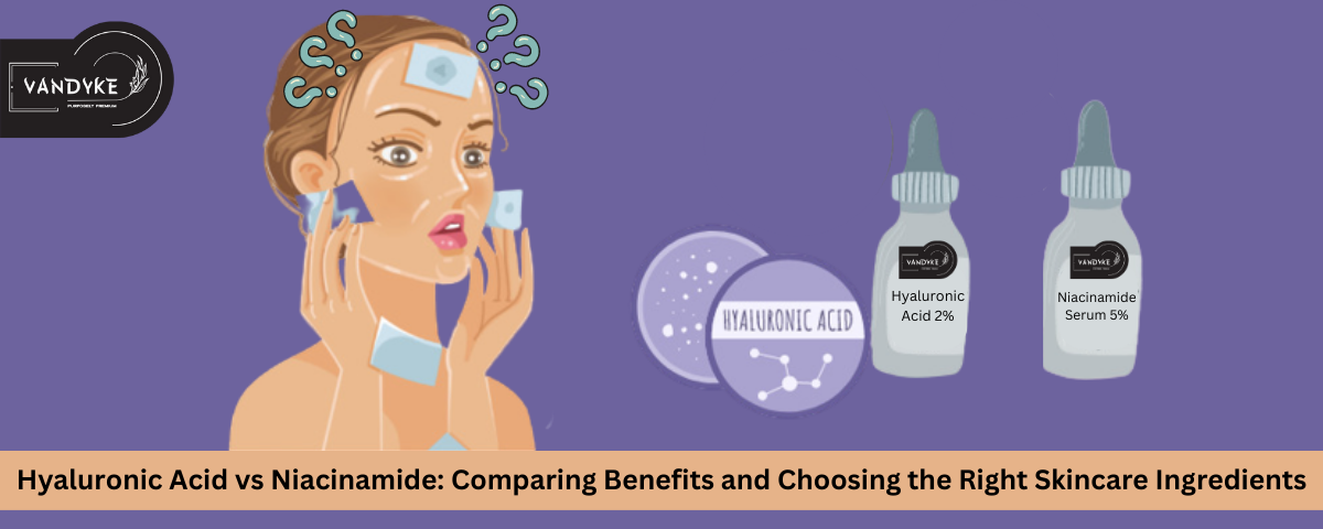 Hyaluronic Acid vs Niacinamide Comparing Benefits and Choosing the Right Skincare Ingredients - vandyke