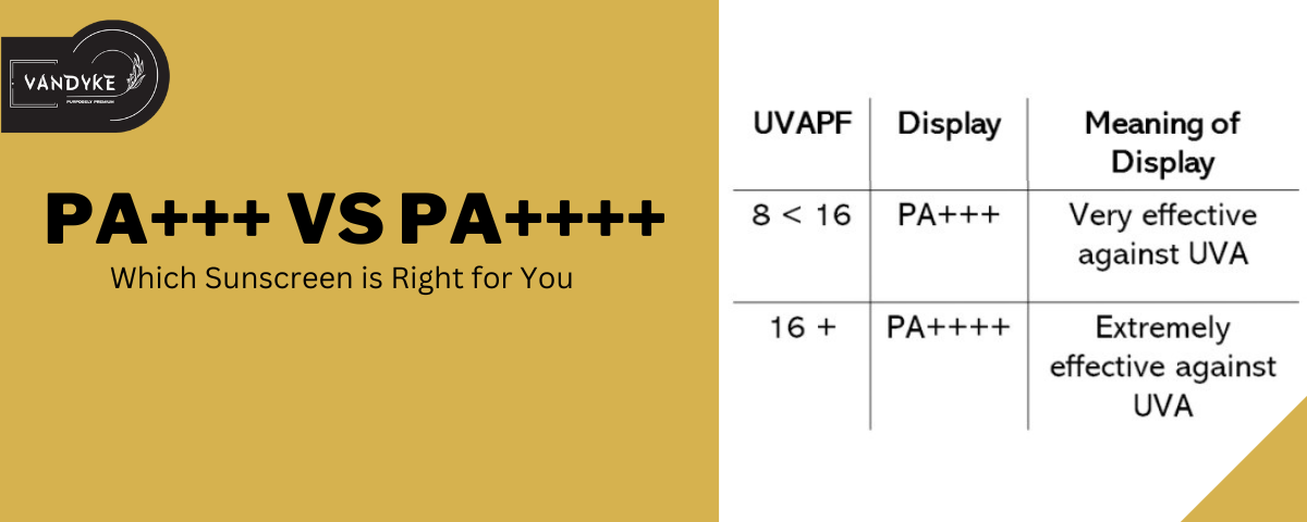 PA+++ vs PA++++ Sunscreen - vandyke