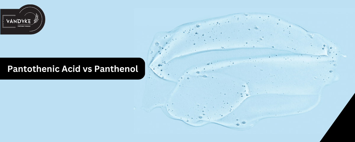 Pantothenic Acid vs Panthenol - Vandyke